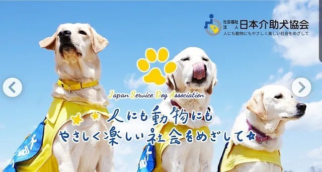 社会福祉法人日本介助犬協会